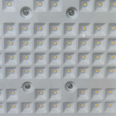 50-300Watt Explosieveilige LED Schijnwerper Voor Extreme Omstandigheden Aangedreven Door MEANWELL Driver En 3000/4000/5000/5700K CCT