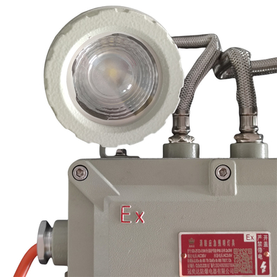 Zone 1/Zone 2 Explosieveilige Noodverlichting | Waterdichte & Brandwerende LED Wand-/Plafondarmatuur voor Kritieke Gebieden