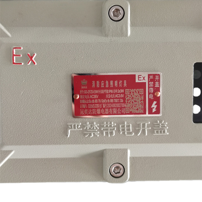 Explosiebestendige noodverlichting aan de muur en het plafond gecertificeerd door ATEX/IECEx voor olie en gas, chemische en mijnbouw.