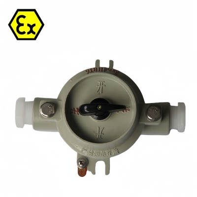 380/220VAC 10-60A Explosiebestendige schakelaar Waterdicht