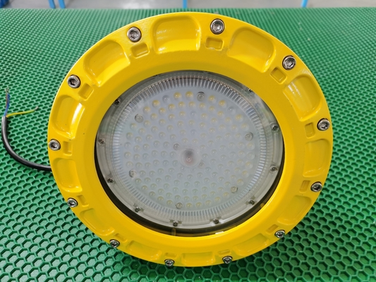 Zone 1 2 21 22 Explosiebestendige aluminium LED-verlichting IP66