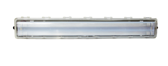 IP66 WF2 Zone 1 2 21 22 Bescherming Explosiebestendige fluorescerende buis met een hoog beschermingsniveau en IP66 WF2 bescherming