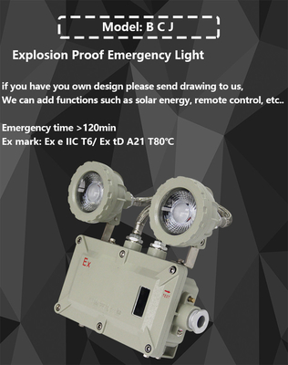 BCJ Explosion Proof Emergency LED lichten met 50000h levensduur en OEM service