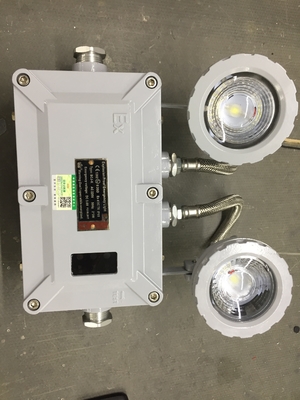 2*3W CCT 4500-6500K LED brandwerend noodlicht met Ex Db Eb IIC T6 Gb/Ex Tb IIIC T80\u2103 Db