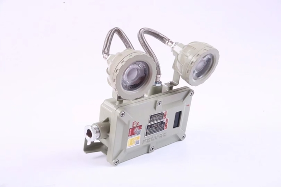 Industriële brandwerende noodverlichting van 2*3 Watt 220VAC 24/36VDC