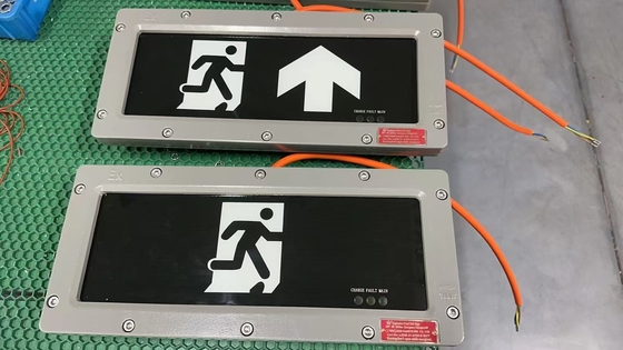 Zone 1 Aluminium noodlicht met CRI Ra≥70 en verlengde noodtijd van 90 minuten