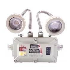 Explosiebestendige exproof noodlicht 2*3Watt LED 220VAC 24/36VDC Voor Zone 1 2