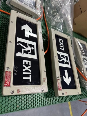 OEM Explosieveilige LED Nooduitgangsverlichting 24VDC/36VDC/AC | Gecertificeerde Veiligheidsverlichting voor Zone 1/Zone 2 Toepassingen