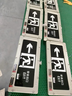 4500-6500K noodvlamvast uitgangslicht 2*3Watt 220VAC 24/36VDC Wand/plafond gemonteerd