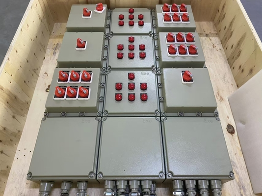 2 mm explosiebestendige panelen met IP54/IP65/IP66 bescherming en koolstofstaal/aluminium constructie
