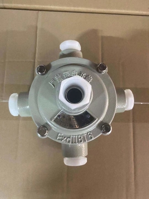 IP66 waterdicht explosiebestendige aansluitbox Wandinstallatie G1/2 Kabelingang met waterdichtheid