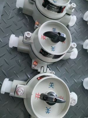 220V / 380V Explosieveilige Elektrische Keuzeschakelaar Met WF2 Grijze Zone 22