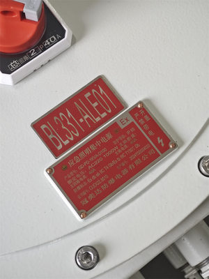 Energie- ATEX Explosiebestendige besturingsstation Vlambestendige elektrische bedieningsdozen 220/380Vac G1/2" G3/4" G1 G1.1/4" G1.1/2" G2