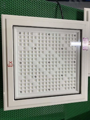 Explosiebestendige LED-overstromingslicht met lampkralen CREE en categorie 50-240 Watt