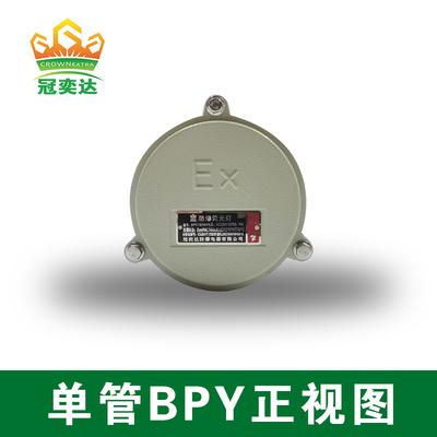 IP66 90–305V LED buisverlichting Wand- en pendelmontage opties 2 zones 21 Explosieveilige verlichting voor olie-, gas- en chemische faciliteiten