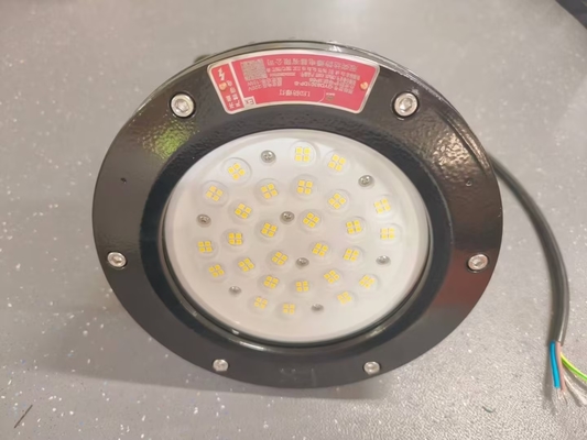 WF2 Explosiebestendige LED-hooglicht 150W ATEX IECEx CNEX gecertificeerd