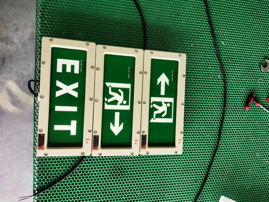 Oplaadbare Explosieveilige Noodverlichting – 3W 3.6V IP65 Batterijgevoed voor Gevaarlijke Gebieden
