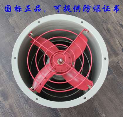 Industrieel bedrijf IP54 220v/380v explosiebestendige asventilatoren met een diameter van 200-750 mm