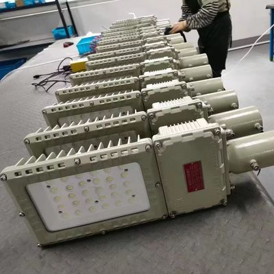 Warm verkoop High Lumen Explosion Proof Flood Light IP66 WF2 bescherming