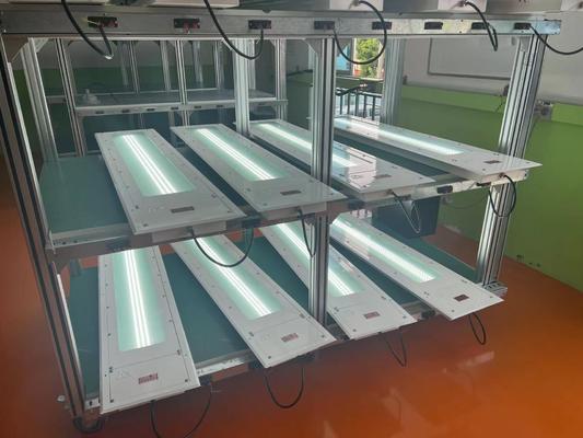 Hoge lumen buizen licht Explosiebestendige fluorescerende lamp 100lm/w aangepaste kleurtemperatuur 5 jaar garantie Atex