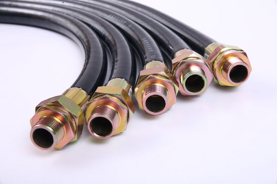 G1'' Gevaarlijk gebied Flexible conduit protection IP54 Geschikt voor gevaarlijke omgevingen