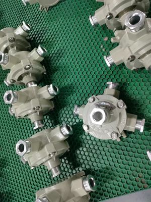 IP66 Cast Aluminium Explosion Proof Junction Box Brandbescherming Bedrading Box Exd IIB IIC Op maat