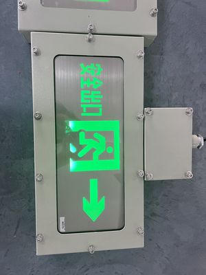 Wandmontage 3W 120 180 Minuten Nooduitgangslicht Aangepaste Kleuren LED-indicatoren Oppervlak kan worden aangepast voor Zone 1 en Zone 2