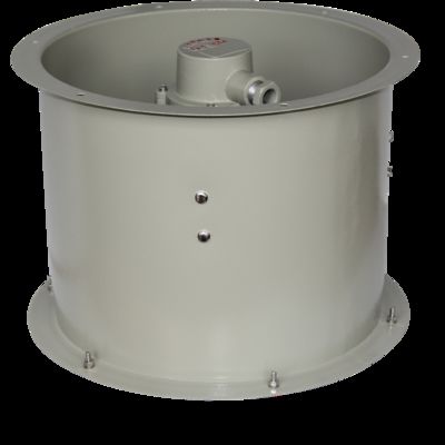 300mm Diameter Explosion Proof Exhaust Fan 0.18kw 1450r/min Explosion Proof Axial Fan For Industrial Ares