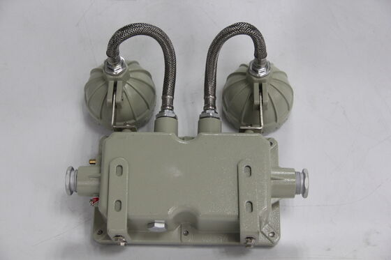 Brandgevaar BCJ IP66 Explosiebestendige verlichting Dubbel LED noodlicht 180 Min