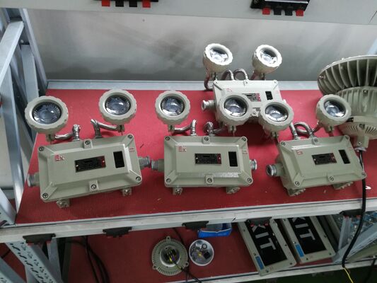 Aluminium Alloy IP66 LED Explosion Proof High Strength Double Head Emergency Lighting with Evacuation Light