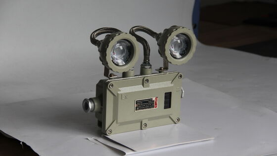ATEX × CNEX 220VAC 50Hz CCT 4500-6500K Aanpasbaar explosiebestendige noodlicht