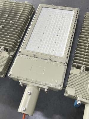 ATEX/IECEx Explosieveilige Schijnwerper/Straat LED-lamp 50-1000W IK10 IP66 voor Zone 1&2/Zone 21&Zone 22