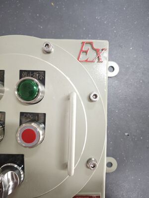 Gemaakt in China ATEX 220V/380V BLK IP65 explosieveilige isolatieschakelaar geschikt voor wandmontage