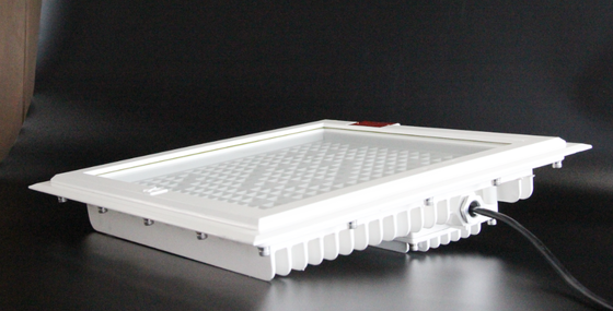 Explosieveilige LED-schijnwerper Hoge helderheid 100-250W, Maximaal 5700K CCT, 5 jaar garantie voor gevaarlijke zones bij benzinestations