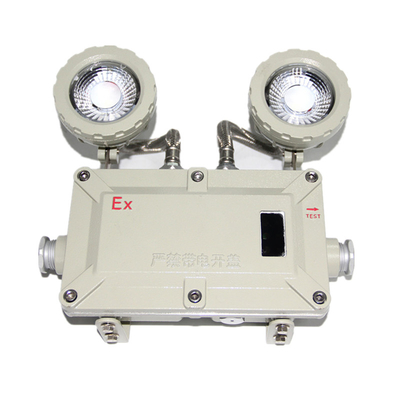 Hoog lumen aangedreven 2 * 3w waterdicht vlamwerend explosiebestendige noodlicht met wand- en plafondmontage