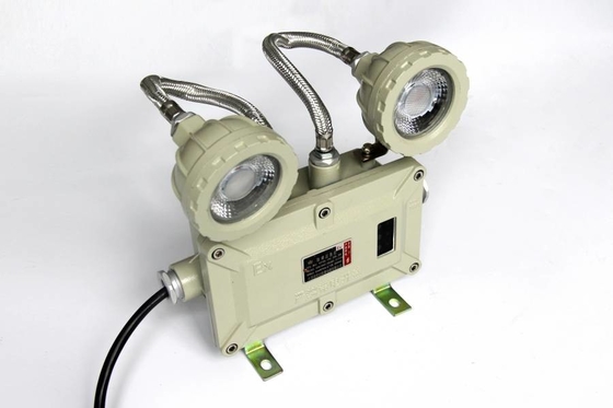 Hoog lumen aangedreven 2 * 3w waterdicht vlamwerend explosiebestendige noodlicht met wand- en plafondmontage
